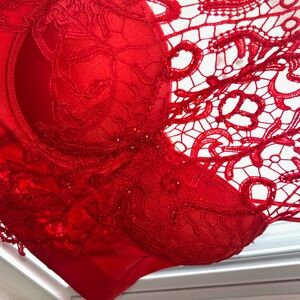 Large GORGEOUS red red top